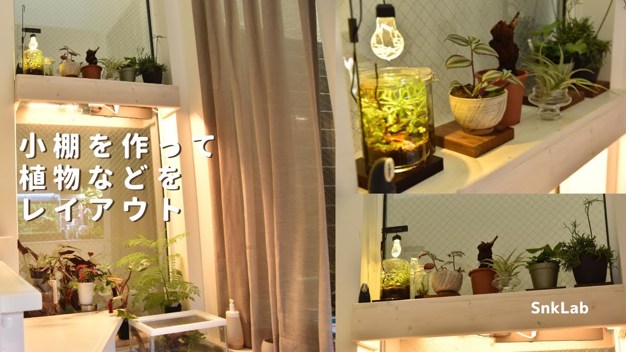 Diy スペースが無くなってきたので小棚を作って植物やボトルアクアをレイアウト Youtube