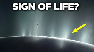 Scientist Detected A Sign Of Life On Saturn's Moon! Scientist Detected A Sign Of Life On Saturn S Moon
