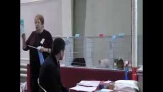 Cfa Show Sofia Final With Liz Watson