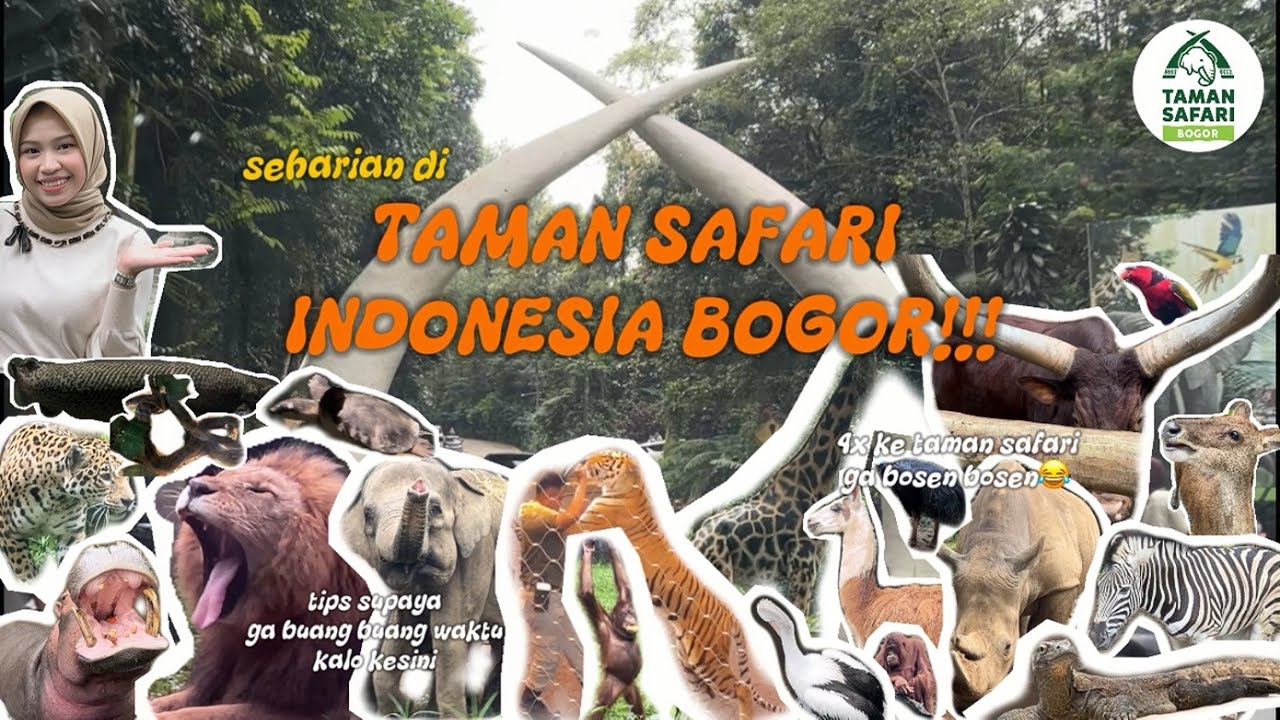 LIBURAN KE TAMAN SAFARI BOGOR DI 2025, ADA APA AJA SIH? HARUS NGAPAIN ...
