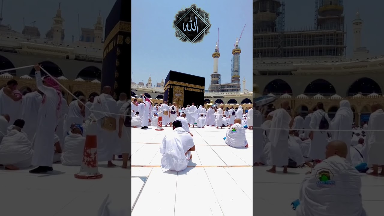 Sanctuary of Forgiveness: Where All Sins Find Redemption 