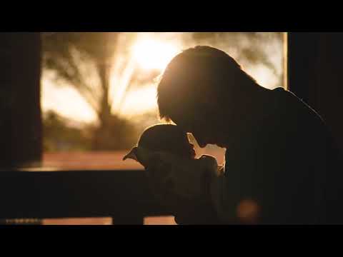 dad | neele ternes (slowed & reverb)