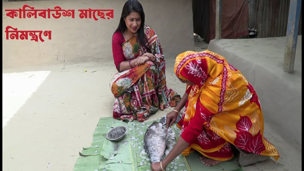 কালিবাউশ মাছের নিমন্ত্রণ এবার নাটোরের তাড়াই গ্রামে || Panorama Cooking