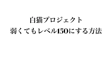 白猫 Bp上げ