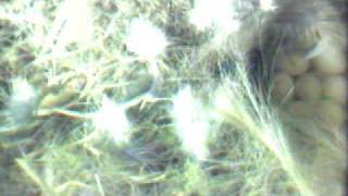 20090421 1249