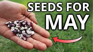 8 Seeds You MUST Sow In May!