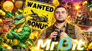 🔴 STERO LIVE 🔴 🎰 CHEF DE SLOTURI CIUDATE MR BITATE 👾 🤪