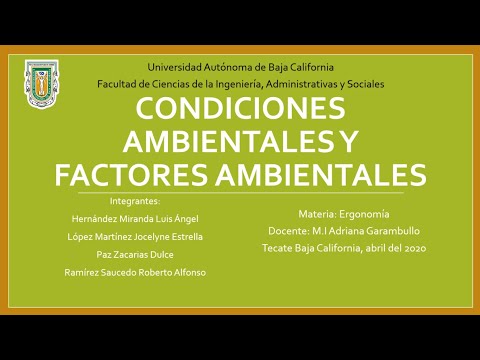 Video: Pimienta En Condiciones Ambientales