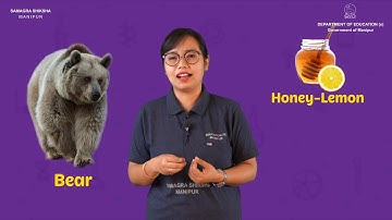 Class IV EVS lesson 6: Honey bank