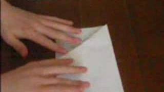 Paper Airplane: The Pteroplane