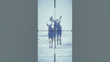 My BEST SHOT Ever! Call of the wild #shorts
