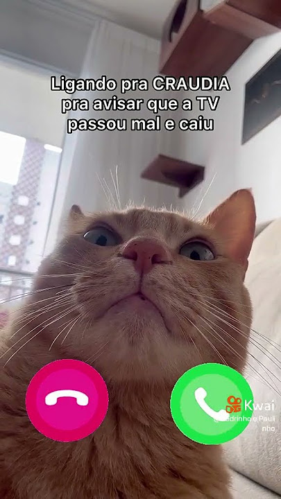 #kkkk