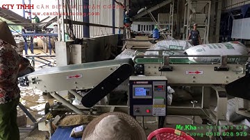 Cân Băng Tải - Weighing Conveyer