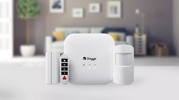 IDS Onyyx - Quick Unboxing