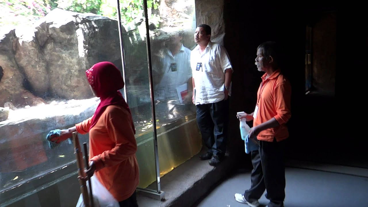 Aquarium Langkawi, a little fearful and interesting / Аквариум Лангкави