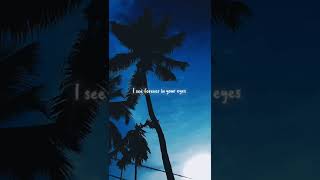 Dandelions Lyrics Edit...