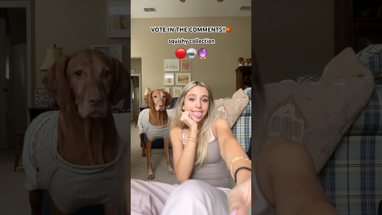 Vote in the comments!! 