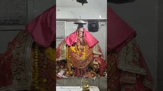 माता रानी #subscribe #viral #new #bhakti #share #durgapuja #durgamaa #maa #maadurga