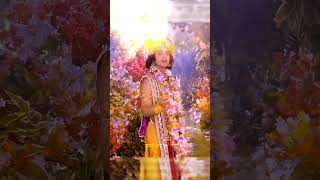 Krishna Bhakti Status 🙏 | Radha Krishna Bhajan 💙 | Bhakti WhatsApp Status #shorts