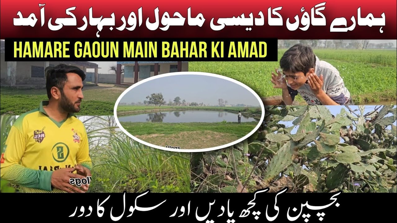 Our Village's Beautiful Environment | Bahar Ka Mausam in My Pind | Naeem Commando Vlogs