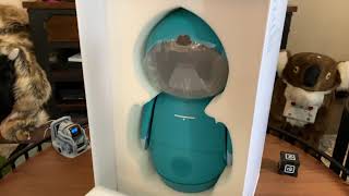 Moxie Robot - Her Arrival & Unboxing (with Jibo)