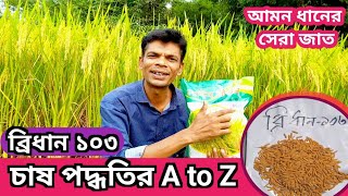 ব্রিধান ১০৩ চাষ পদ্ধতির A to Z | কম খরচে- অধিক ফলন |