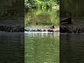 Waterfall sounds in nature