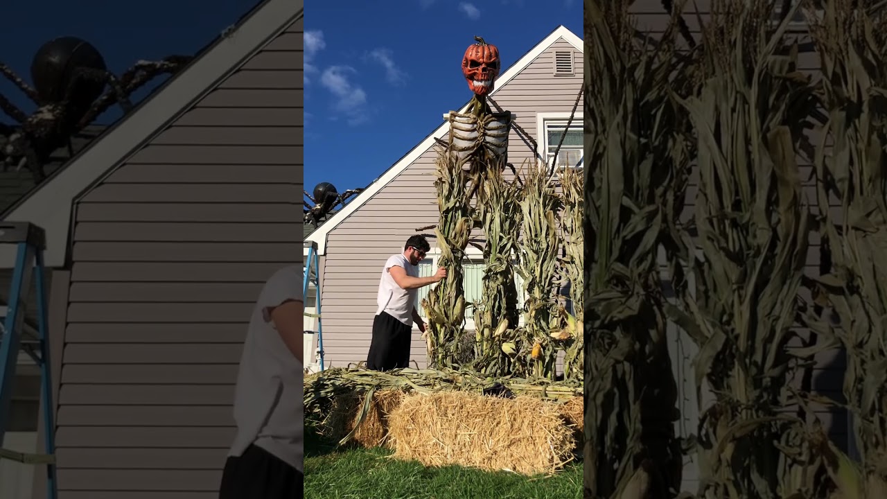 Haunted Halloween Pumpkin Patch Display and Photo Op🎃