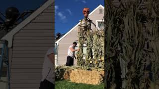 Haunted Halloween Pumpkin Patch Display and Photo Op🎃