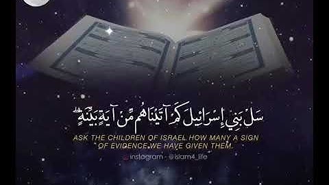 قران كريم حالات واتس اب