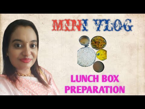 Lunch Box Preparation | Mini Vlog | #nandusparadise #minivlog - YouTube
