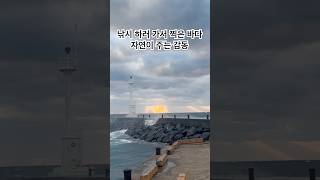 낚시 하러 가서 찍은 바다. 자연이 주는 감동 🌊 #파도소리 #파도 #파도소리asmr #파도멍 #바다 #제주바다 #제주도 #제주도바다 #제주 #jeju #바다뷰 #낚시 #자연