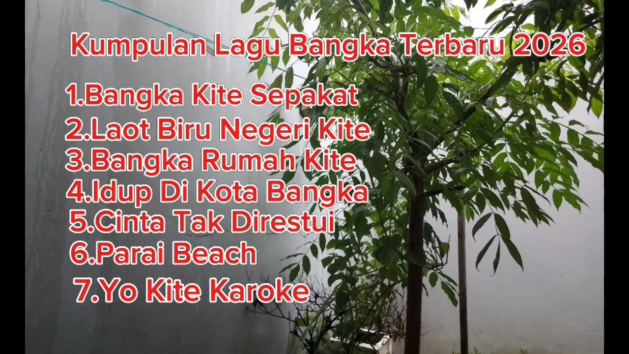 Kumpulan lagu-lagu Bangka terbaru 2026 