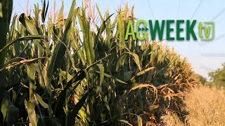AgweekTV Full Show S06E35
