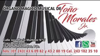 Video thumbnail of "a mi manera organo magico musical de toño morales jr"