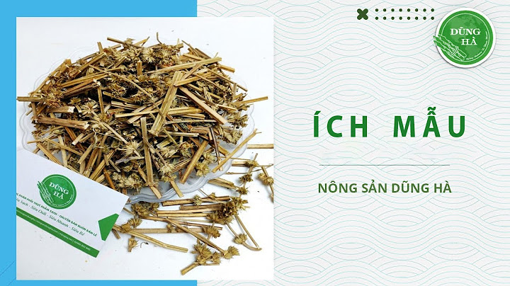 Không nên uống cao ích mẫu khi nào?