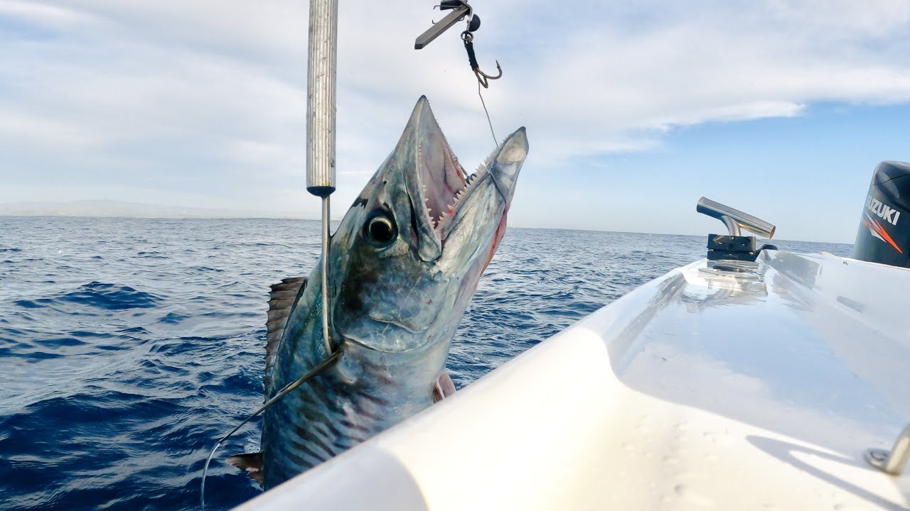 Gold Coast Spanish Mackerel Madness Pt.2 YouTube