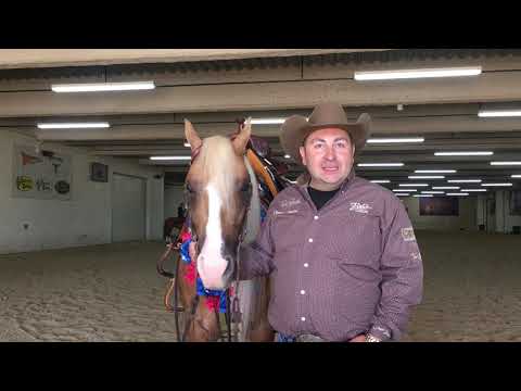 Champion Talks With Dany Tremblay: 2019 $100,000 Open Shootout at the Run For A Million