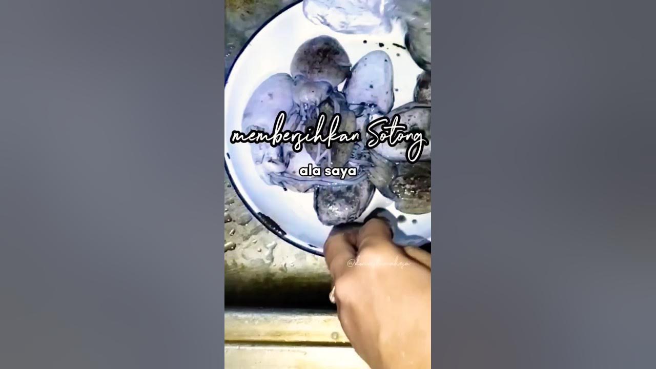 membersihkan Sotong #shorts #sotong #resepmasakan #tips #irt #fyp #ibudanfatih #cooking membersihkan Sotong #shorts #sotong #resepmasakan #tips #irt #fyp #ibudanfatih #cooking