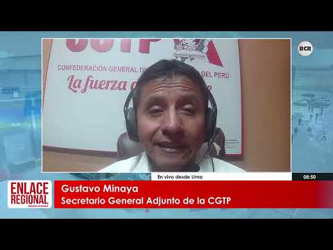 ANALISIS SOBRE SOBRE EL INCREMENTO PROGRESIVO DE LA REMUNERACIÓN MÍNIMA VITAL
