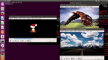 Multicast Machine (Floodligth module)