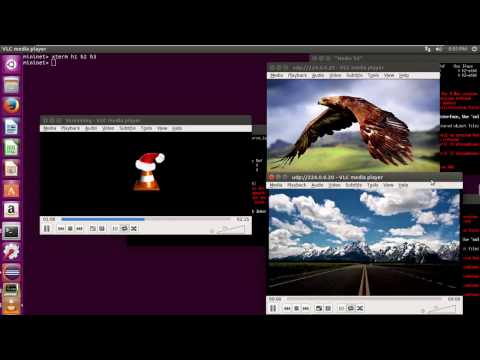 Multicast Machine (Floodligth