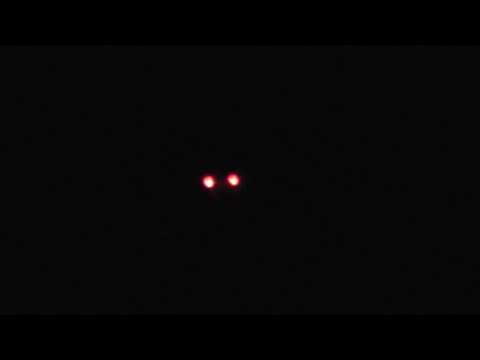 good Drone at Fireworks Display in 4k Midsummer Common Cambridge UK 4nov17 659p