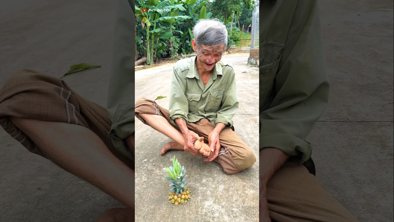 Survival Skills SMART Idea and USEFUL Big Pineapple 🍍 #bushcraft​ #camping​ #outdoors​ #usefulpart91