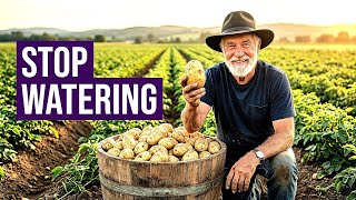 Stop Watering Your Potatoes... The Irish Knew Something We Forgot