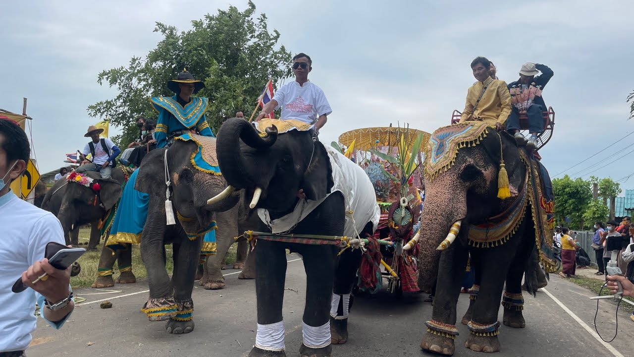 อลังการ🦚 บุญกฐิน บัวบานสุดหล่อ❗️ ใหญ่มาก