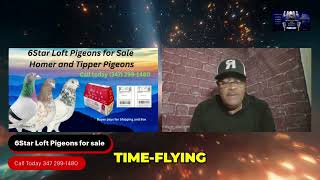 Top Pigeon Bloodlines Proven Quality For Compeion Birds