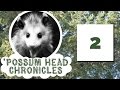 Possum head chronicles episode 02