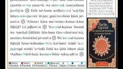 ختمة من مصحف التجويد باللغة الألمانية الصفحة رقم 416