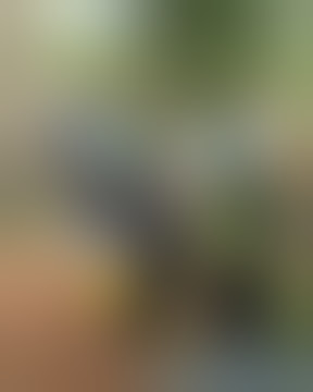 Bocil kencingi kuburan #status WA Lucu #video lucu